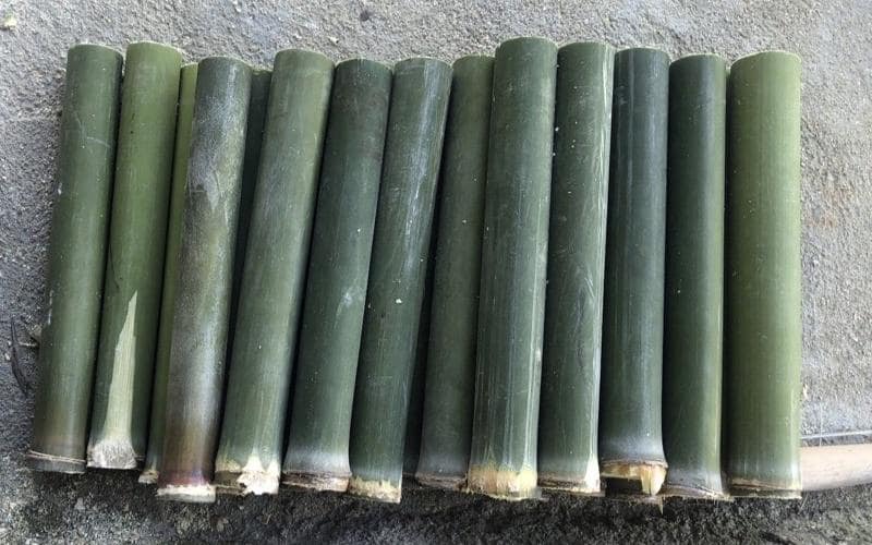 cay-nua204 Cây nứa