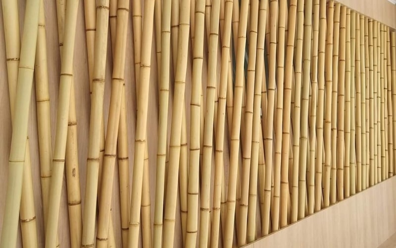 Vách ngăn tre trúc thích hợp cho các loại công trình nào?